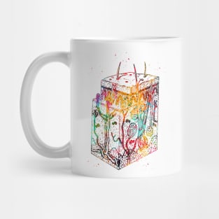 Anatomical skin layers Mug